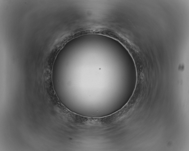 X0000091211447200708161533