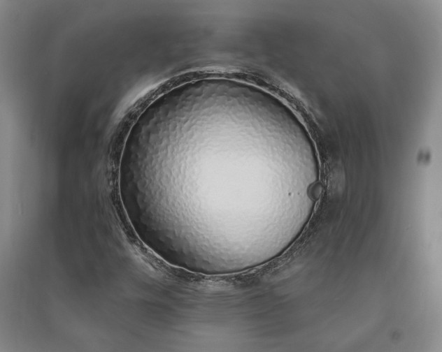 X0000091211448200708161533