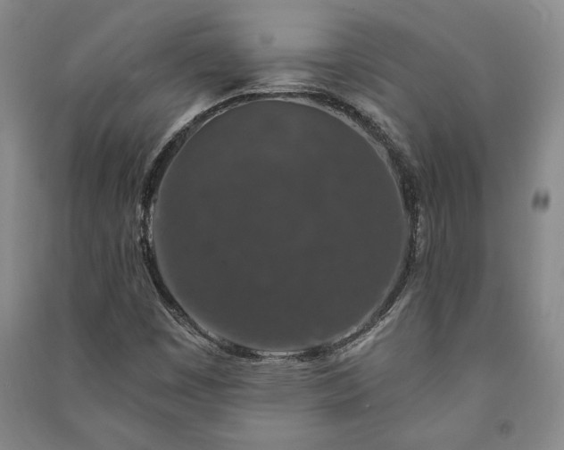 X0000091211449200708161533