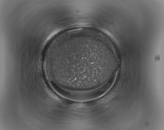 X0000091211450200708161533