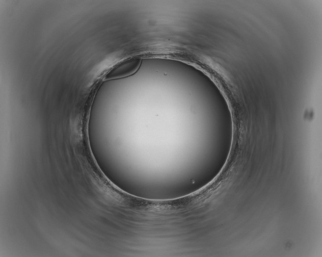 X0000091211451200708161532
