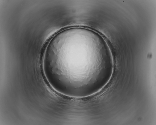 X0000091211452200708161532