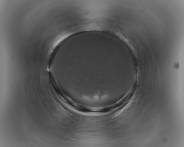 X0000091211453200708161532