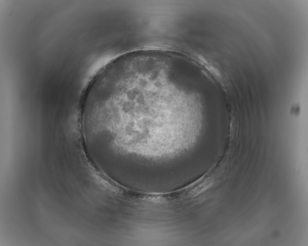 X0000091211454200708161532