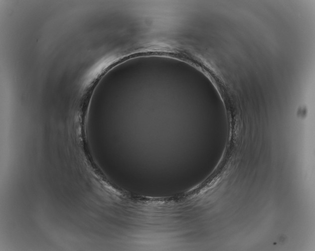 X0000091211455200708161532