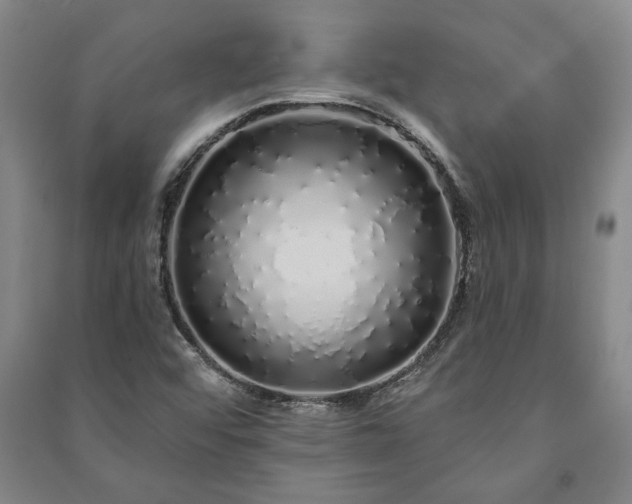 X0000091211456200708161532