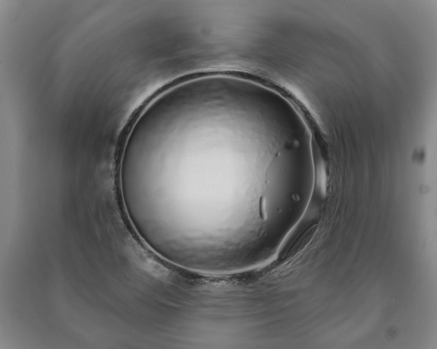 X0000091211460200708161532