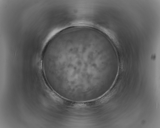 X0000091211462200708161532
