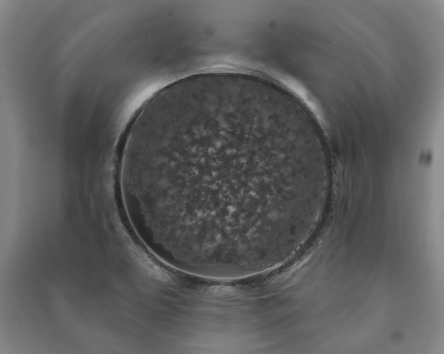 X0000091211463200708161532