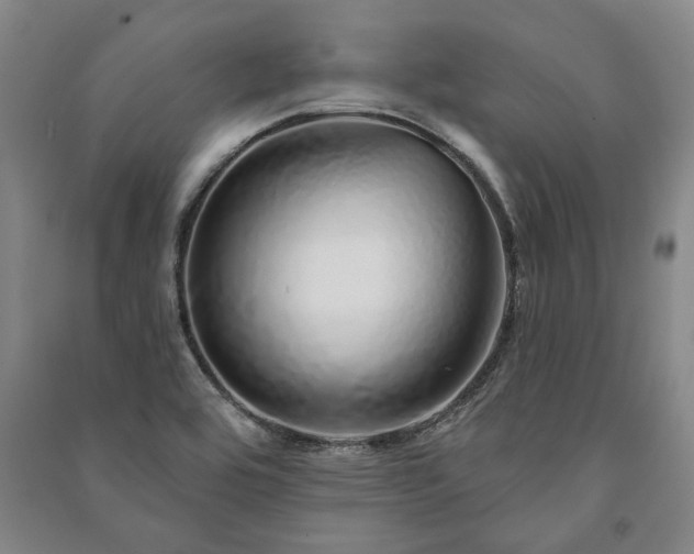 X0000091211464200708161532