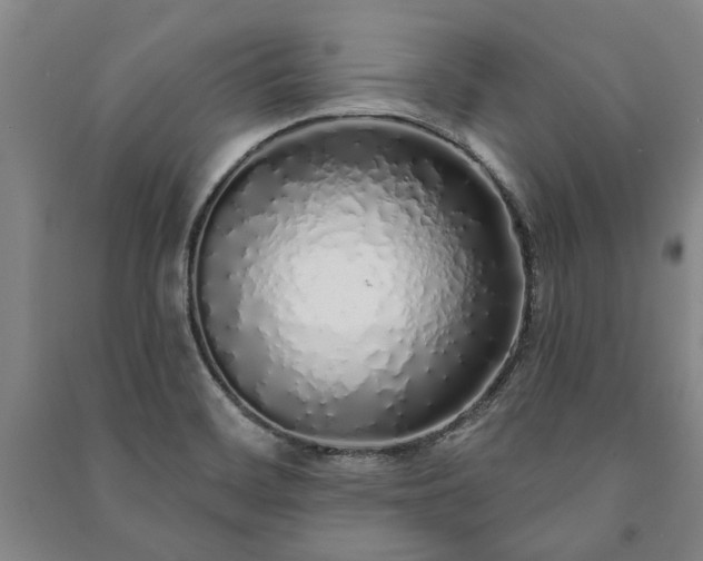 X0000091211468200708161532