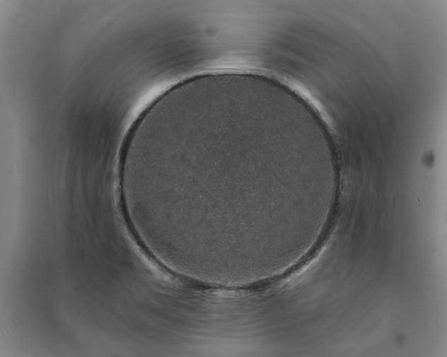 X0000091211469200708161532