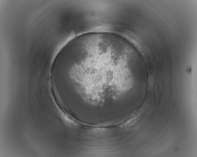 X0000091211470200708161532