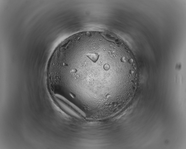 X0000091211471200708161532