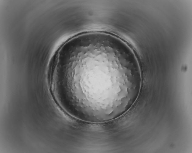 X0000091211472200708161532