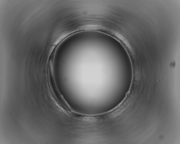 X0000091211473200708161532