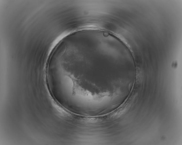 X0000091211474200708161532