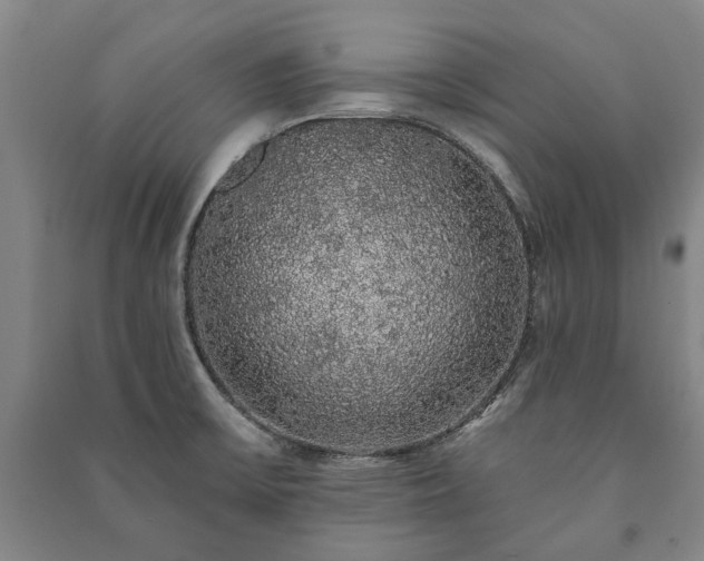 X0000091211475200708161532