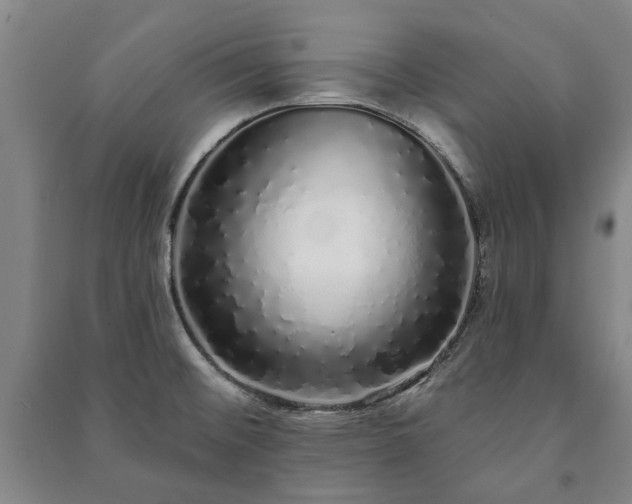 X0000091211476200708161532