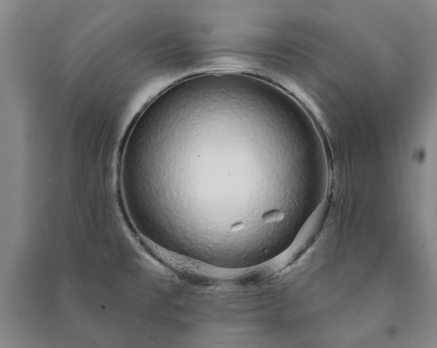 X0000091211477200708161532