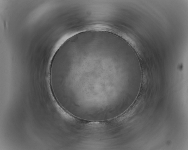 X0000091211478200708161532