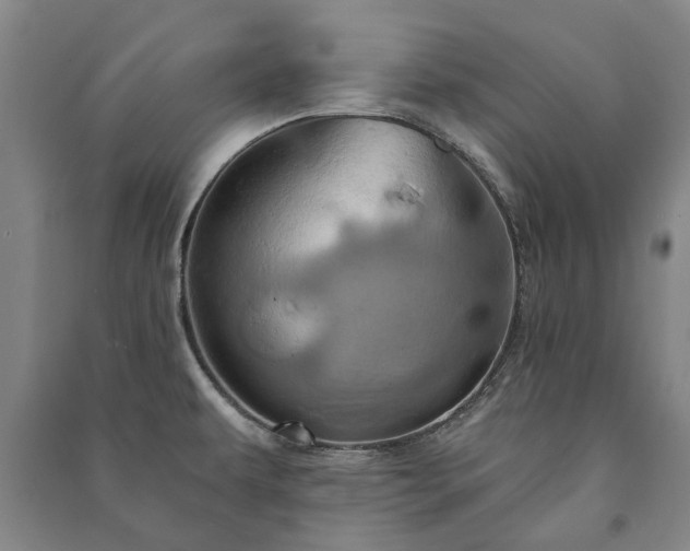X0000091211479200708161532