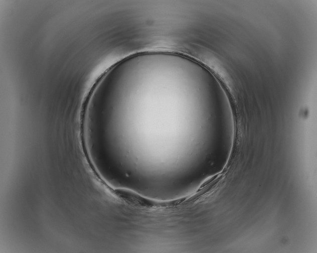 X0000091211480200708161532
