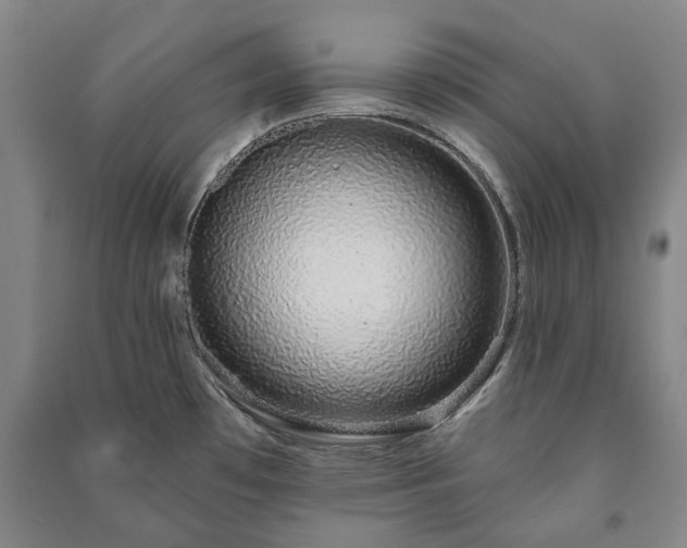 X0000091211481200708161532