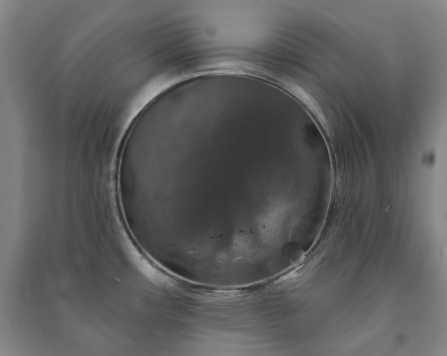 X0000091211482200708161532
