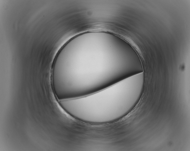 X0000091211484200708161532