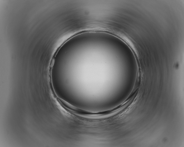 X0000091211485200708161532