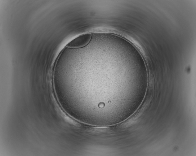 X0000091211486200708161532