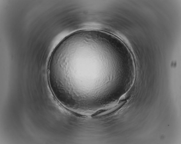 X0000091211488200708161532