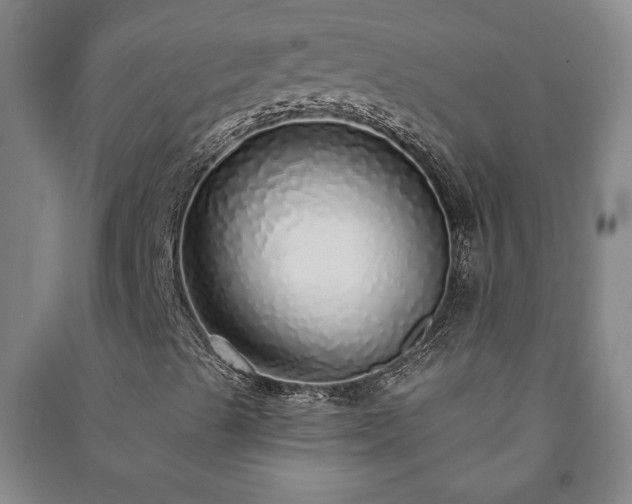 X0000091211489200708161531