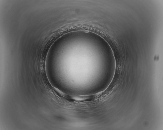X0000091211490200708161531