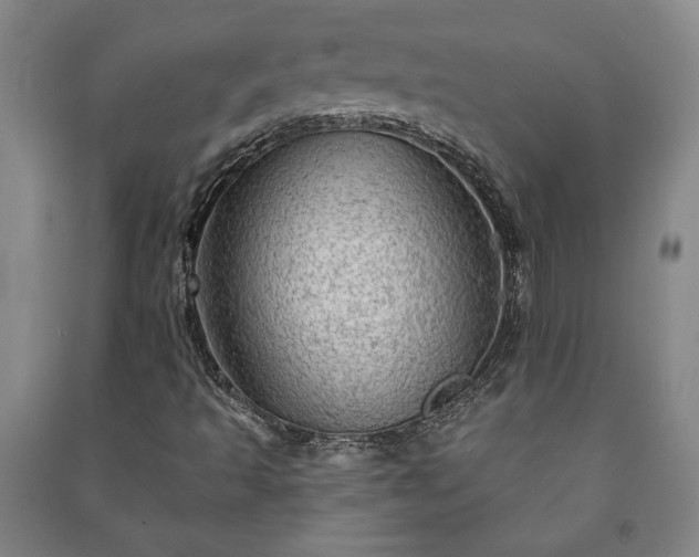 X0000091211493200708161531