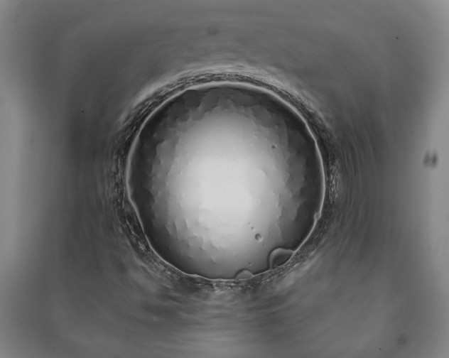 X0000091211494200708161531
