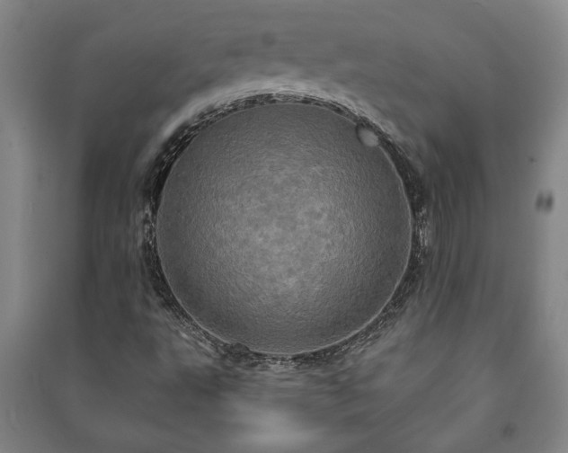 X0000091211495200708161531