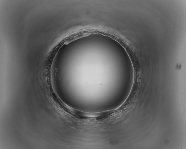 X0000091211496200708161531