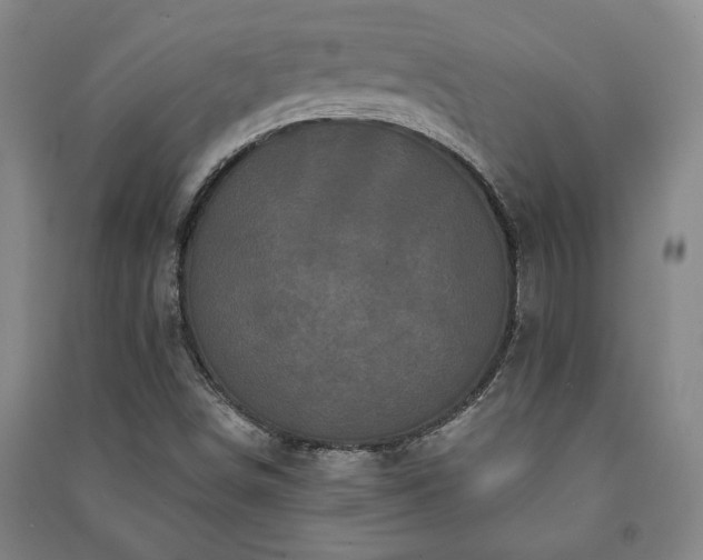 X0000091211498200708161531