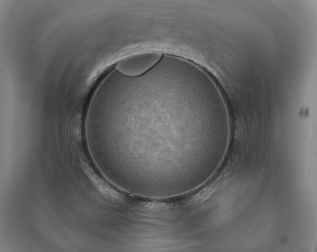 X0000091211499200708161531
