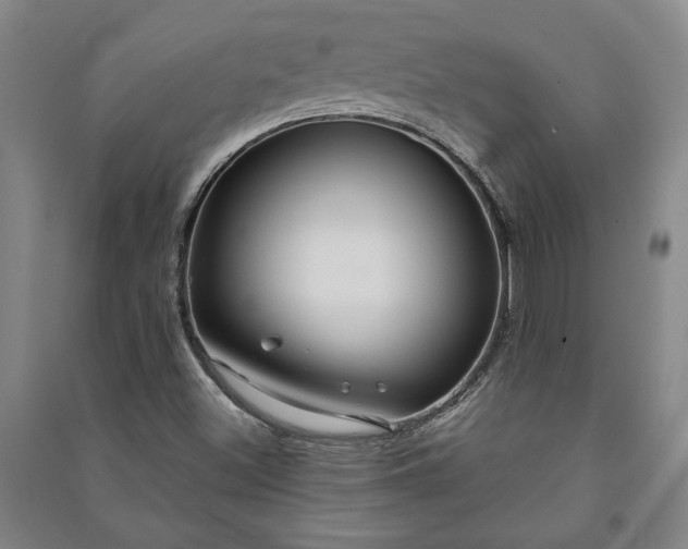 X0000091211500200708161531