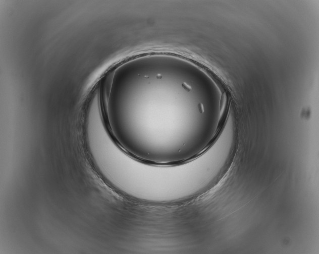 X0000091211502200708161531