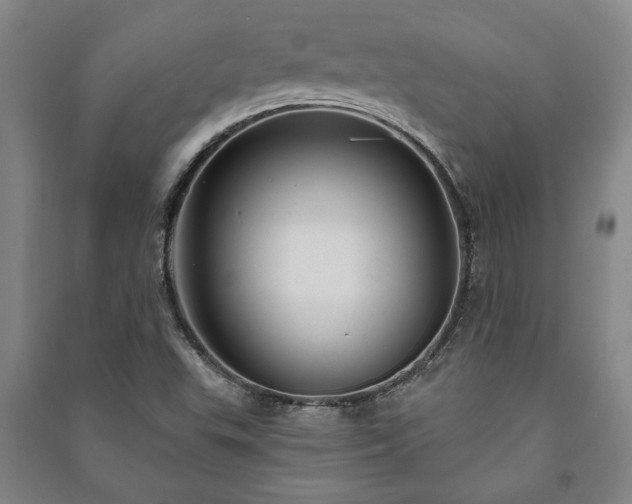 X0000091211503200708161531