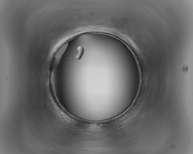 X0000091211504200708161531