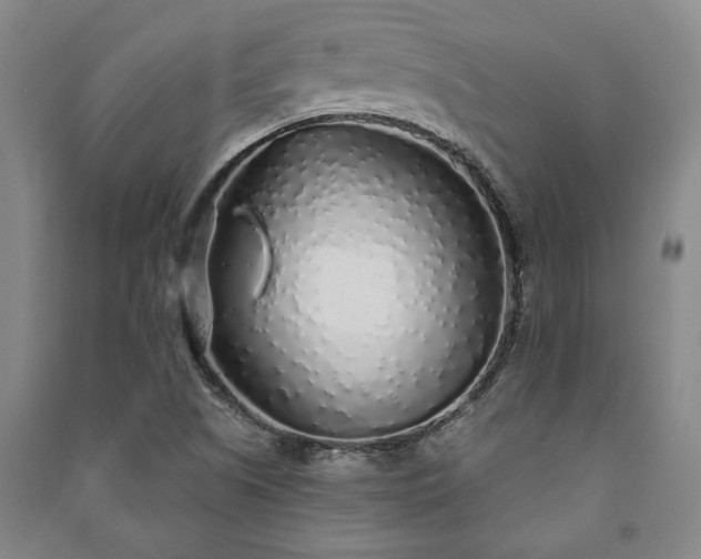 X0000091211505200708161531