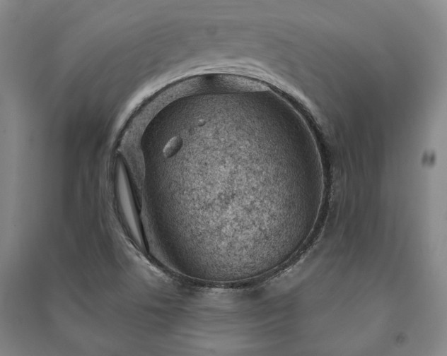 X0000091211506200708161531