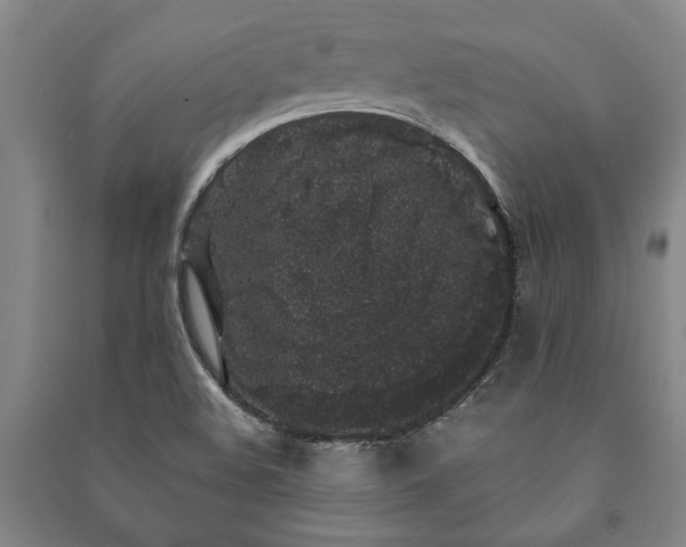 X0000091211508200708161532