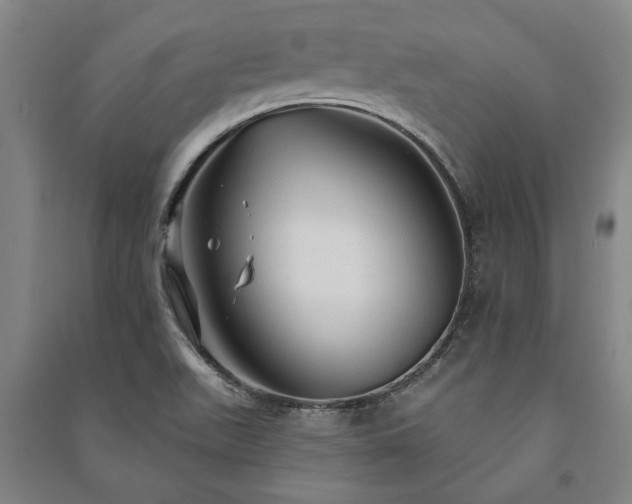 X0000091211511200708161532