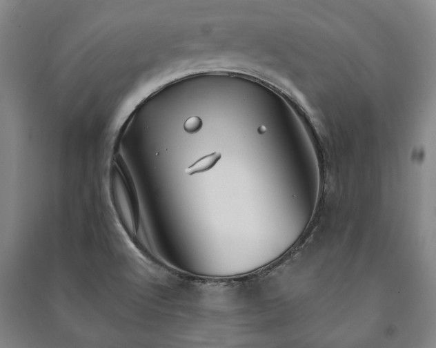 X0000091211512200708161532